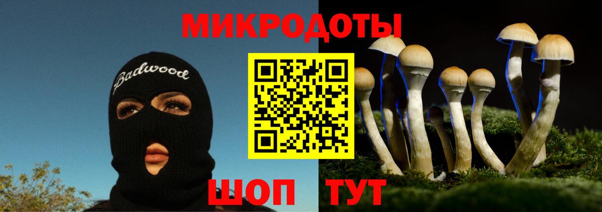 Псилоцибиновые грибы GOLDEN TEACHER  Вход с VPN  Фурманов 